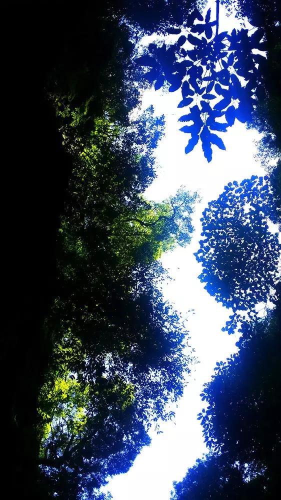 逃离野兽洞