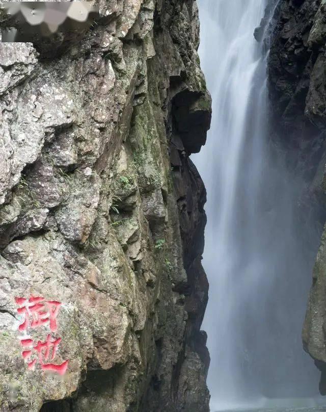 交出答卷!伊金霍洛旗人民检察院工作报告要点速览
